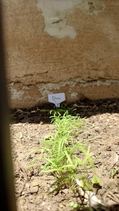 NatureZ Edge Picture 9