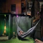 Macaw Hostel Boutique