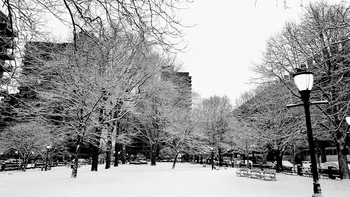 Manhattan Park Parcel A Picture 1