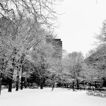 Manhattan Park Parcel A