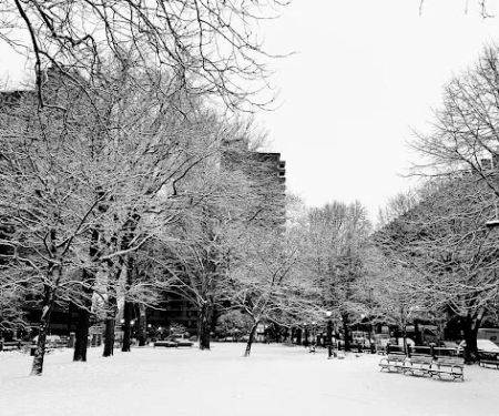 Manhattan Park Parcel A