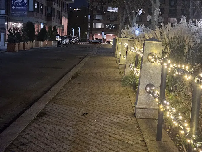 Manhattan Park Parcel A Picture 8