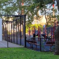 Grandpa Al Lewis Playground ico
