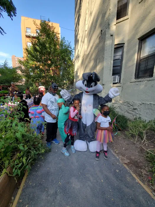 133rd Swing Street Community Garden - Central Harlem Picture 4