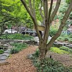 W. 132nd Street Community Garden