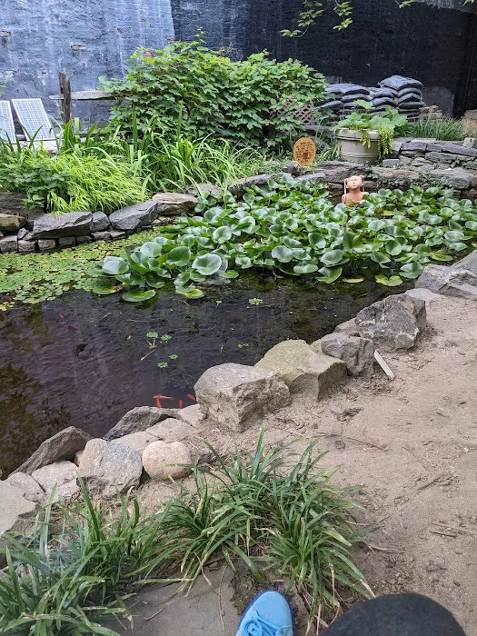 W. 132nd Street Community Garden Picture 4
