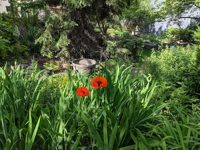 W. 132nd Street Community Garden Picture 6
