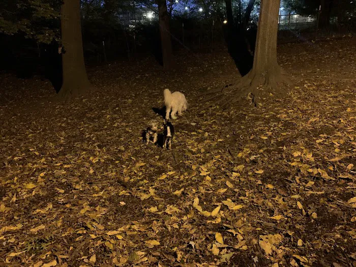 St. Nicholas Park Dog Run Picture 9