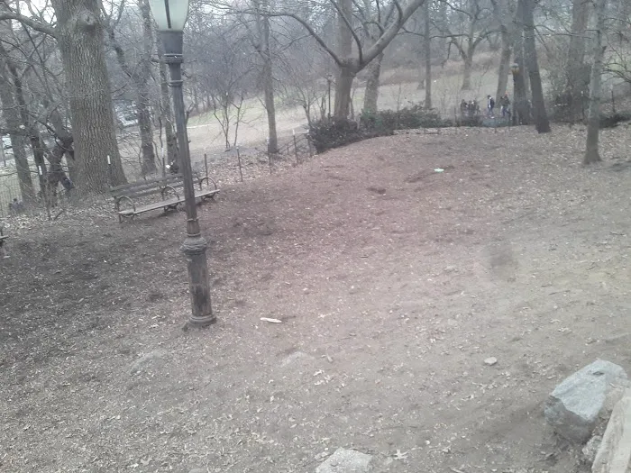 St. Nicholas Park Dog Run Picture 4