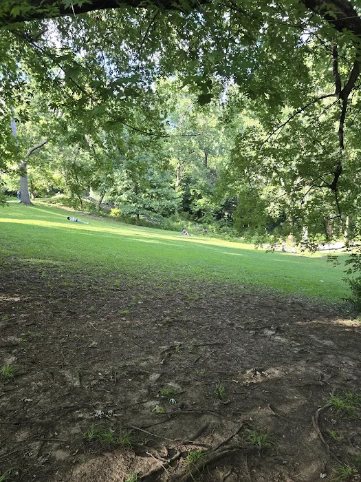 James Baldwin Lawn Picture 2