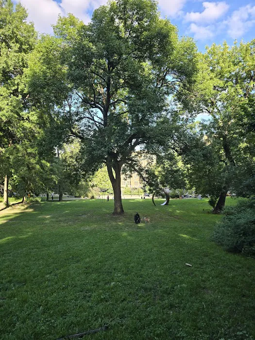 James Baldwin Lawn Picture 7