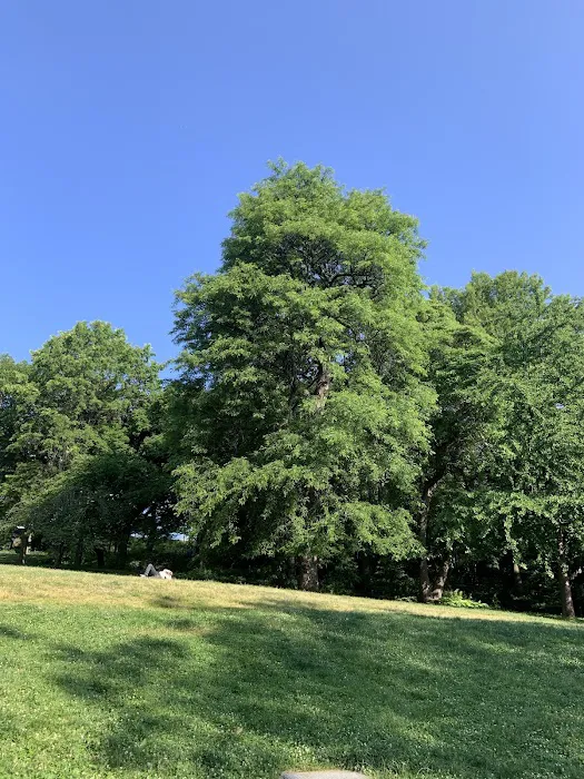 James Baldwin Lawn Picture 8