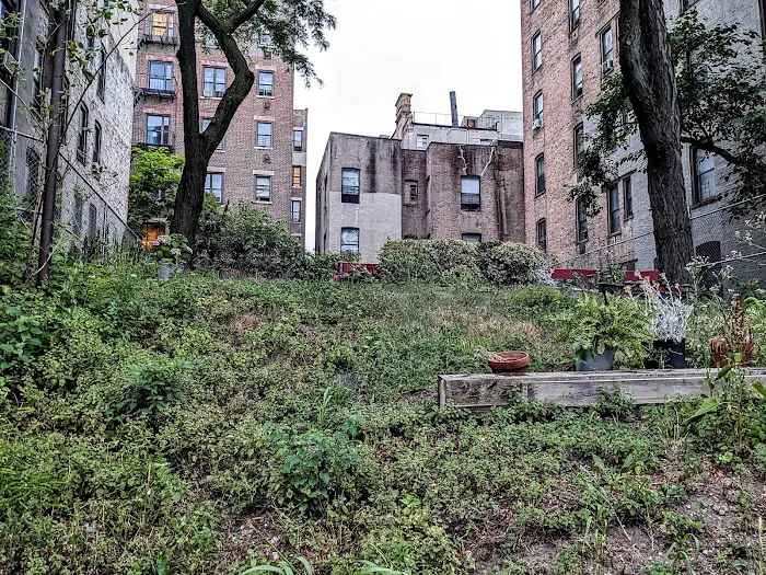 Edgecombe Avenue Garden Park Sanctuary Picture 9