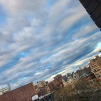 Edgecombe Avenue Garden Park Sanctuary ico