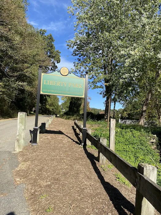 Liberty Park Picture 6