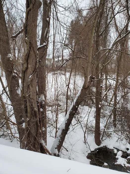 Liberty Park Picture 5