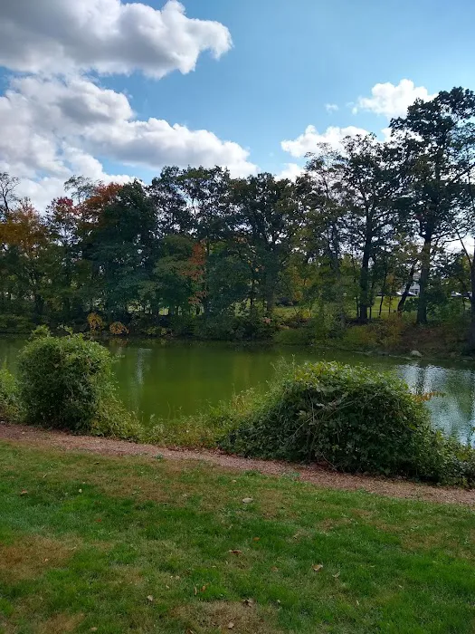 Liberty Park Picture 8