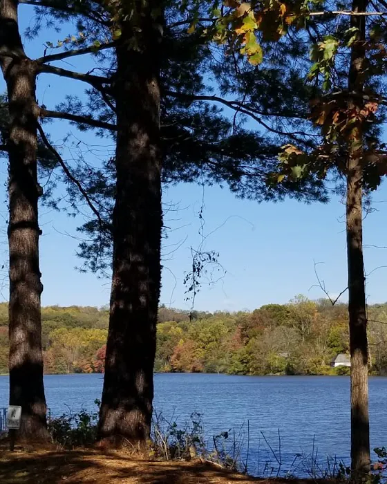 Liberty Park Picture 7