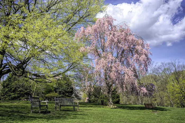 West Harrison Village Green Picture 4
