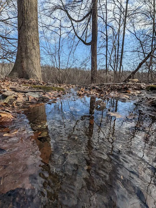 Silver Lake Preserve Picture 5