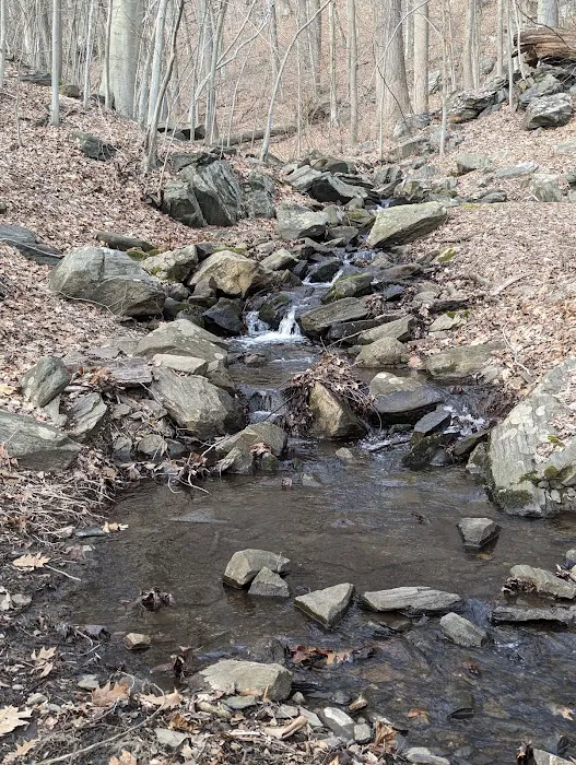 Silver Lake Preserve Picture 3