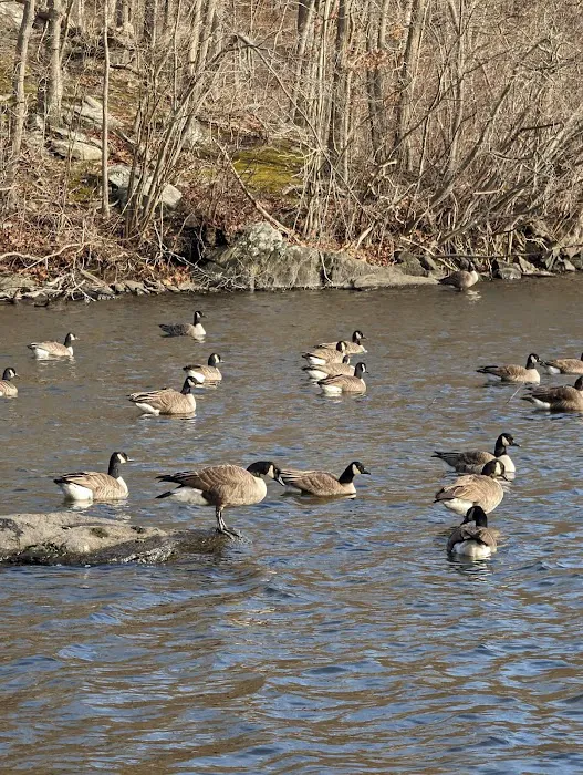 Silver Lake Preserve Picture 4