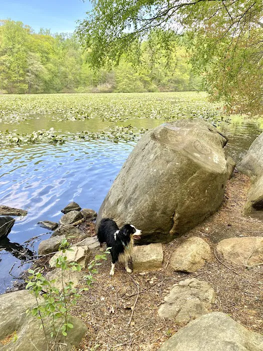 Silver Lake Preserve Picture 8