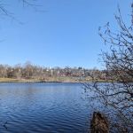Silver Lake Preserve