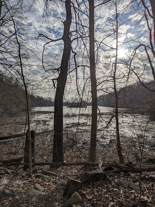 Silver Lake Preserve Picture 6