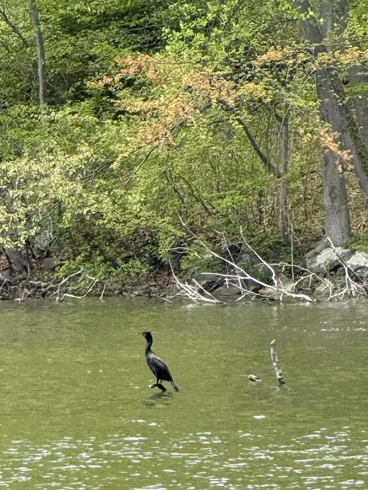 Silver Lake Preserve Picture 10