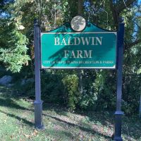 Baldwin Farm ico