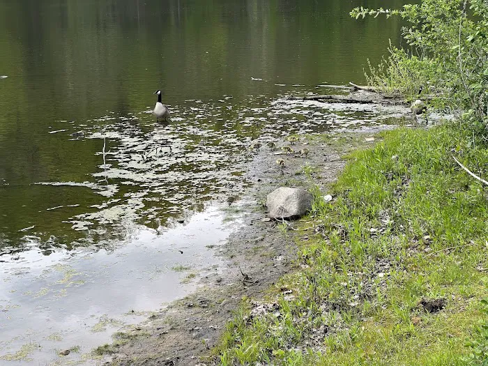 West Harrison (Silver Lake) Park fields Picture 8