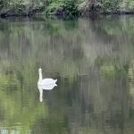 West Harrison (Silver Lake) Park fields