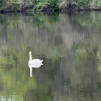 West Harrison (Silver Lake) Park fields ico