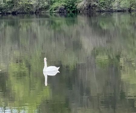 West Harrison (Silver Lake) Park fields