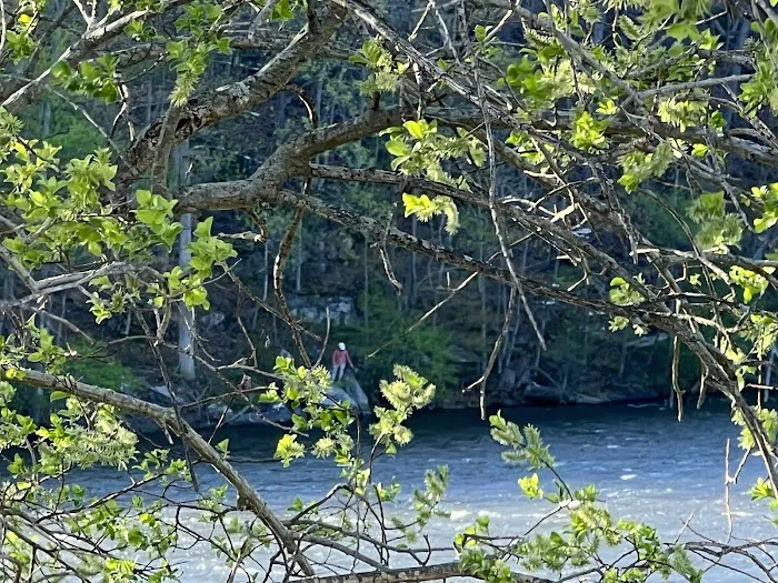 West Harrison (Silver Lake) Park fields Picture 7