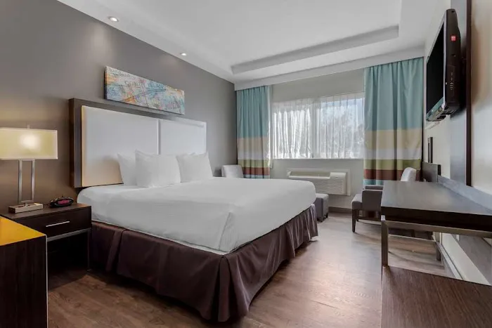 Best Western Plus Brooklyn Bay Hotel Picture 8