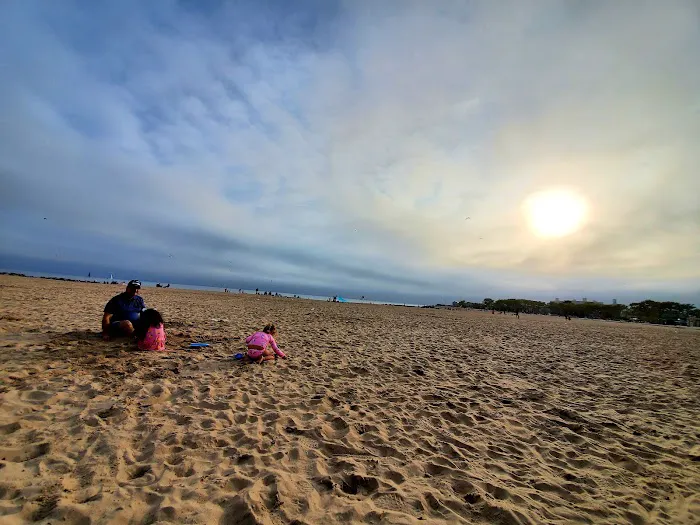 Manhattan Beach Dog Run Picture 7