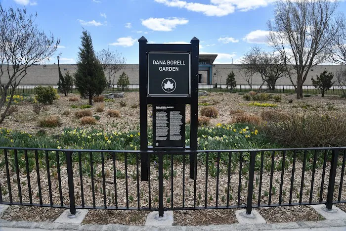 Dana Borell Garden Picture 2