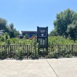 Dana Borell Garden