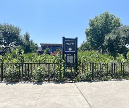 Dana Borell Garden
