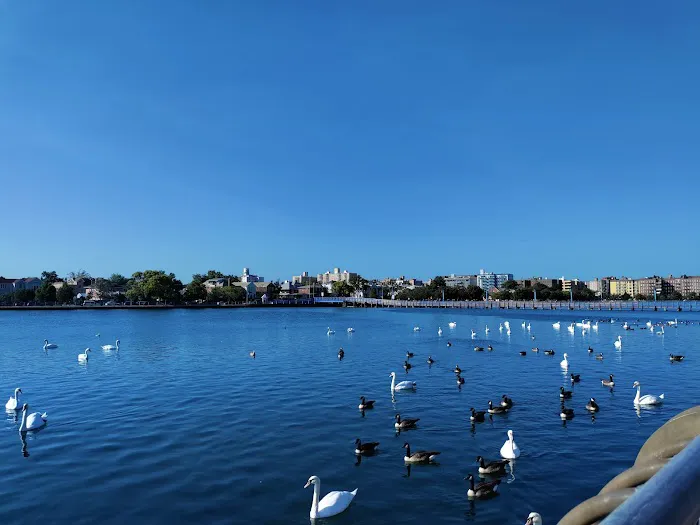 Sheepshead Bay Piers Picture 5