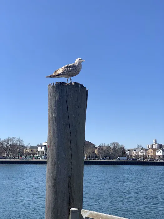 Sheepshead Bay Piers Picture 4