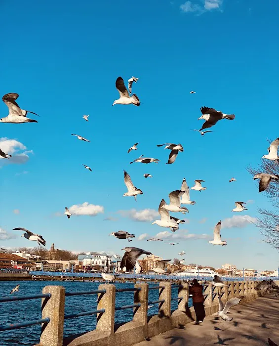Sheepshead Bay Piers Picture 9