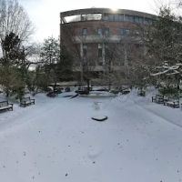 Lily pond ico