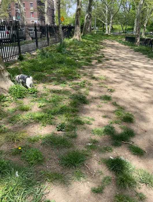 Lincoln Terrace Park Dog Run Picture 2