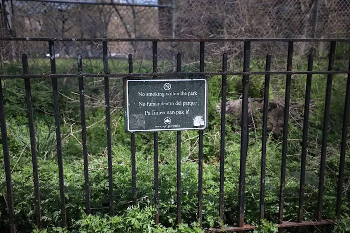 Lincoln Terrace Park Concrete Courts Picture 7