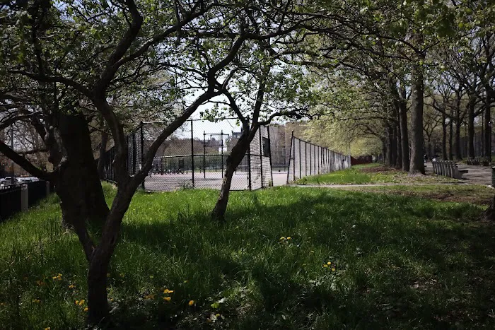 Lincoln Terrace Park Concrete Courts Picture 8