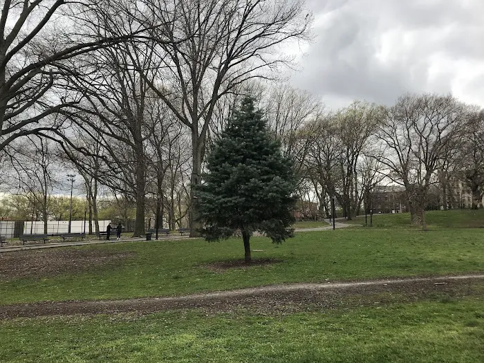Lincoln Terrace / Arthur S. Somers Park Picture 8