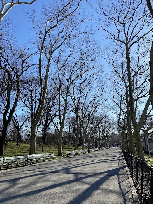 Lincoln Terrace / Arthur S. Somers Park Picture 3